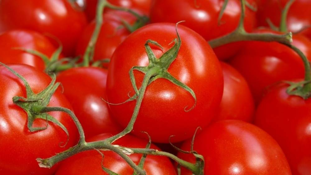 Минсельхоз просят временно приостановить импорт томатов в Россию