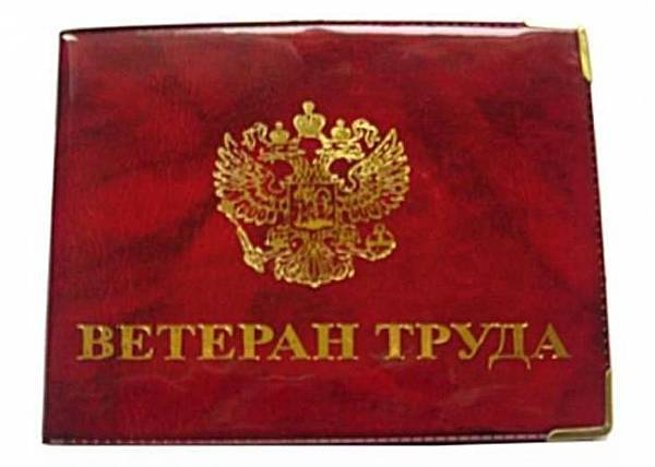 Ветеранам труда Челябинской области будут ежегодно индексировать размер ежемесячной денежной выплаты