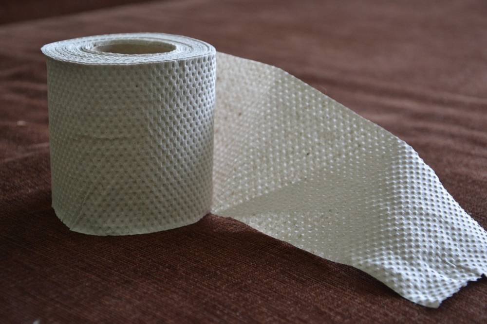 В Дании повысили штрафы за кражу туалетной бумаги