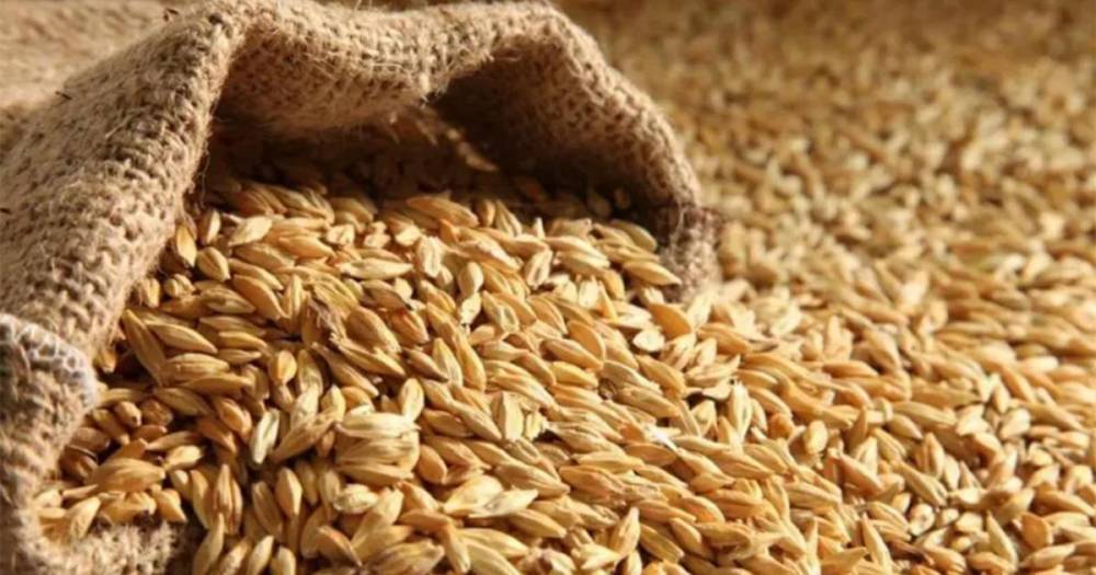 СМИ: ВТО и ВОЗ обеспокоены ограничениями на экспорт зерна из России