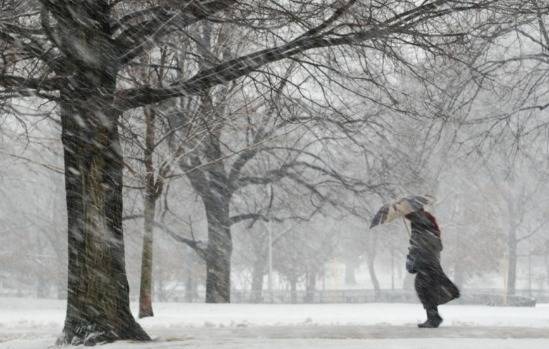 Ветер, дождь, снег: в Курганской области объявлено штормовое предупреждение