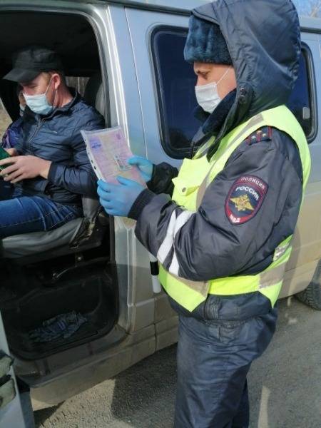В Челябинской области выявлено 277 нарушителей карантинного режима