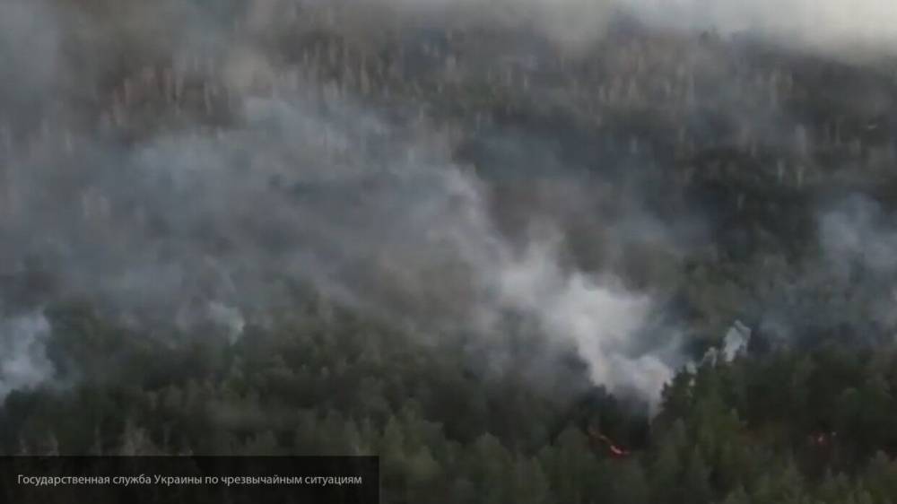 Полиция Украины задержала поджигателя леса в Чернобыле