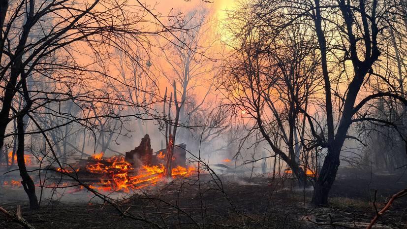 Метеорологи оценили риски пожаров в чернобыльской зоне для России