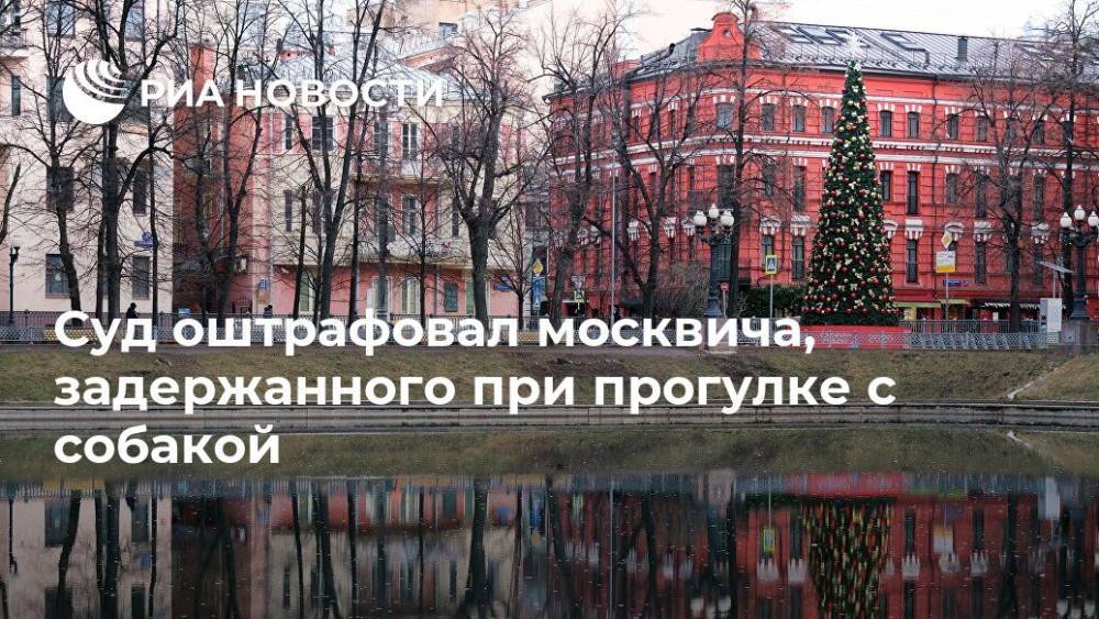 Суд оштрафовал москвича, задержанного при прогулке с собакой
