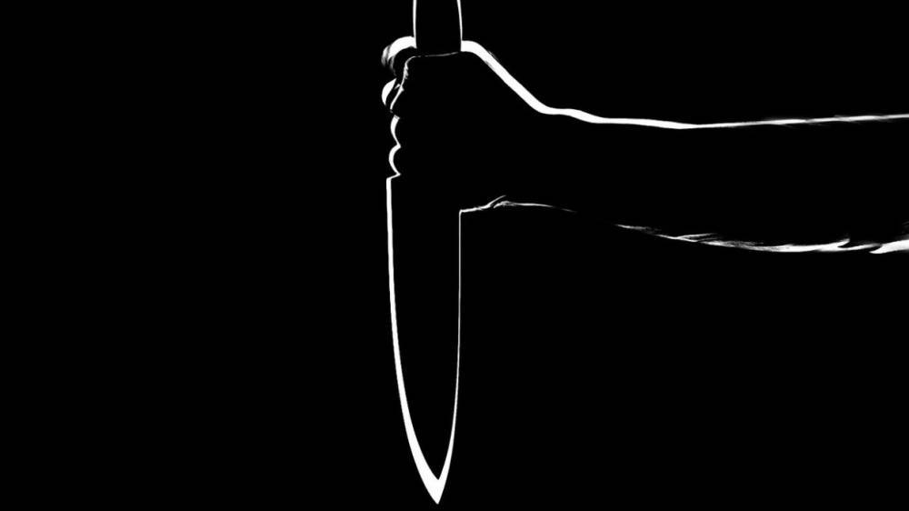 Девушка набросилась с ножом на полицейского в Подмосковье