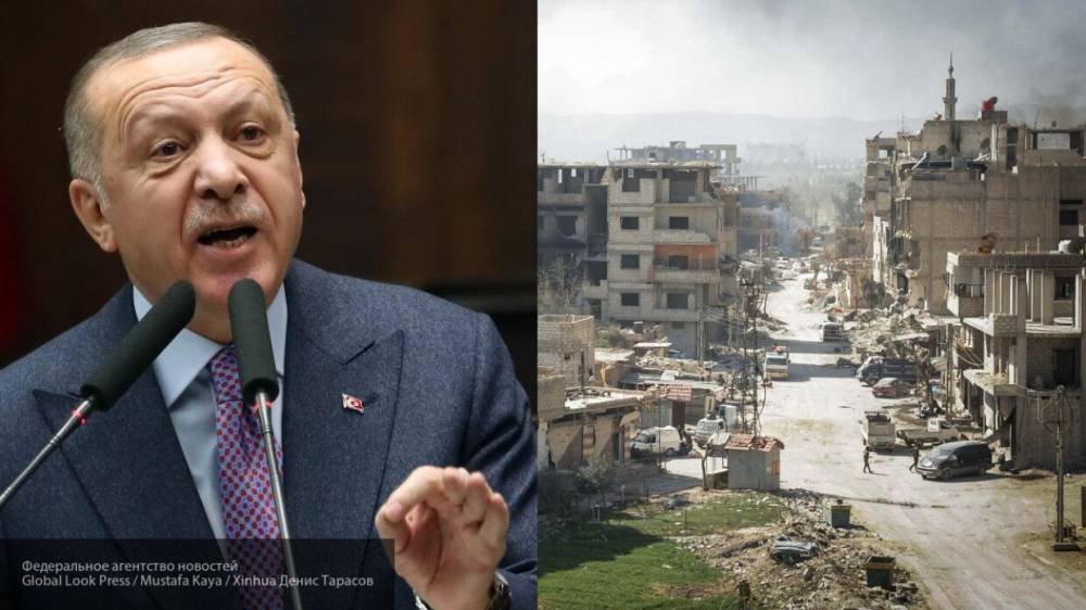 Действия Эрдогана в Сирии продиктованы турецкой политической элитой
