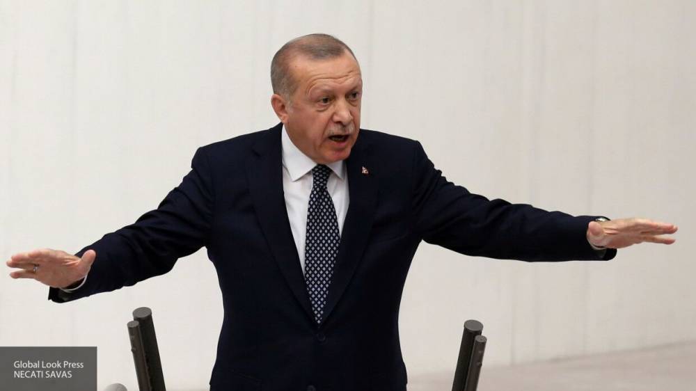 Бредихин назвал целью Эрдогана установление полного контроля над Идлибом