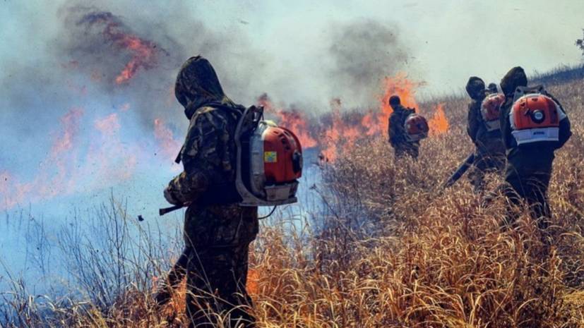 В Приморье ликвидирован крупный пожар в нацпарке «Земля леопарда»