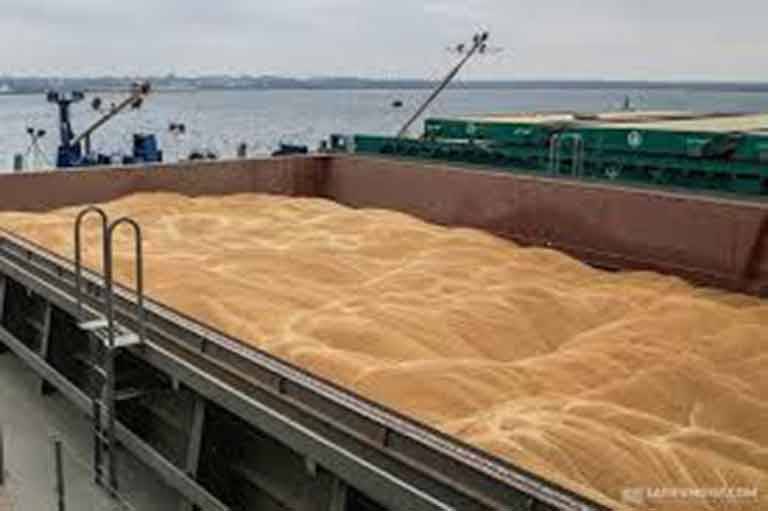 Россия ограничивает экспорт зерна за рубеж: Запад бьет тревогу