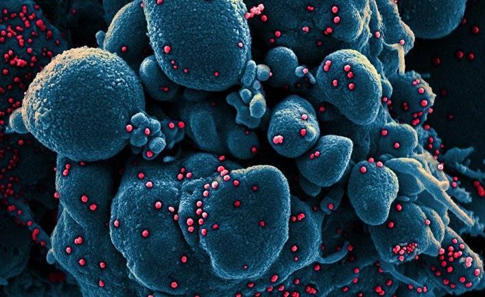 «Засеяли» коронавирусом: эксперт увидел «российский след» в пандемии COVID-19 (Главред, Украина)