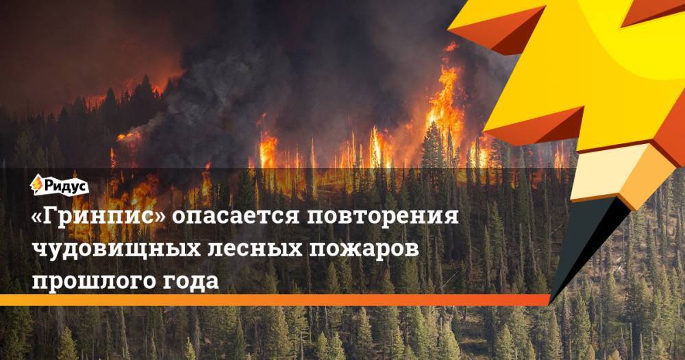 «Гринпис» опасается повторения чудовищных лесных пожаров прошлого года