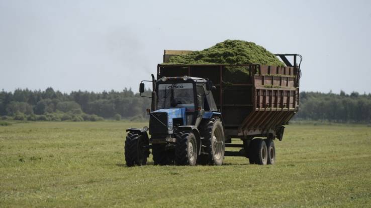 В России разработают меры поддержки сельского хозяйства на фоне эпидемии COVID-19
