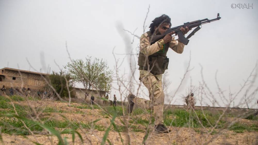 Тренировка «Львов востока»: как бедуины готовятся к борьбе с ИГИЛ