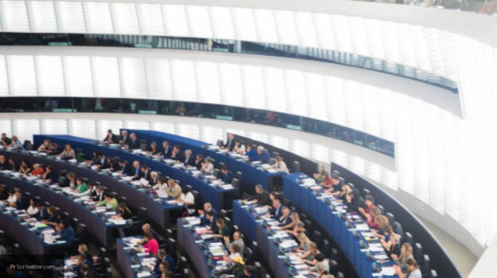 Правозащитница Эвелин Регнер представила Европарламенту доклад о домашнем насилии