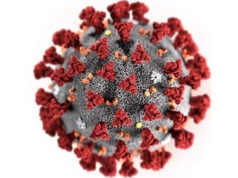СК возбудил дело из-за фейка о коронавирусе, созданном в России