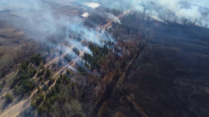 В Нижегородской области тушат более 300 лесных пожаров — кадры с беспилотника