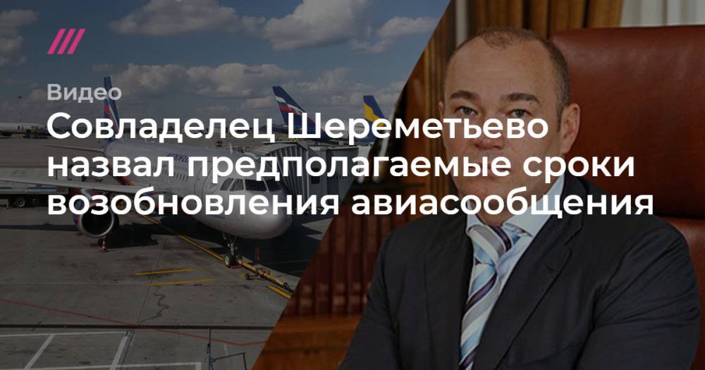 Совладелец Шереметьево назвал предполагаемые сроки возобновления авиасообщения