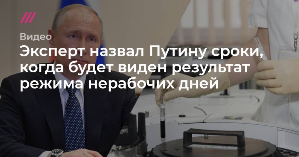 Эксперт назвал Путину сроки, когда будет виден результат режима нерабочих дней