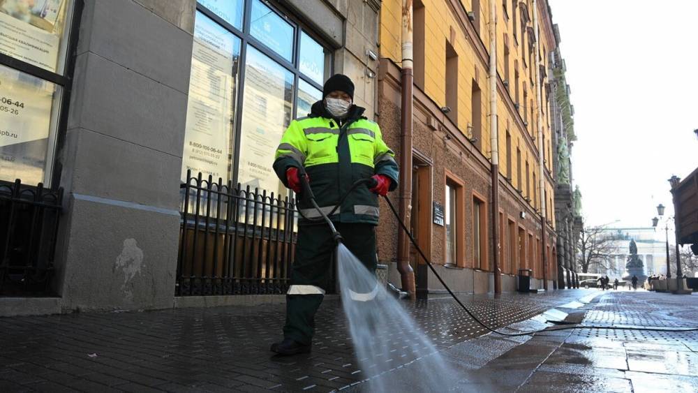 Весенняя уборка в Петербурге пройдет без помощи горожан из-за пандемии
