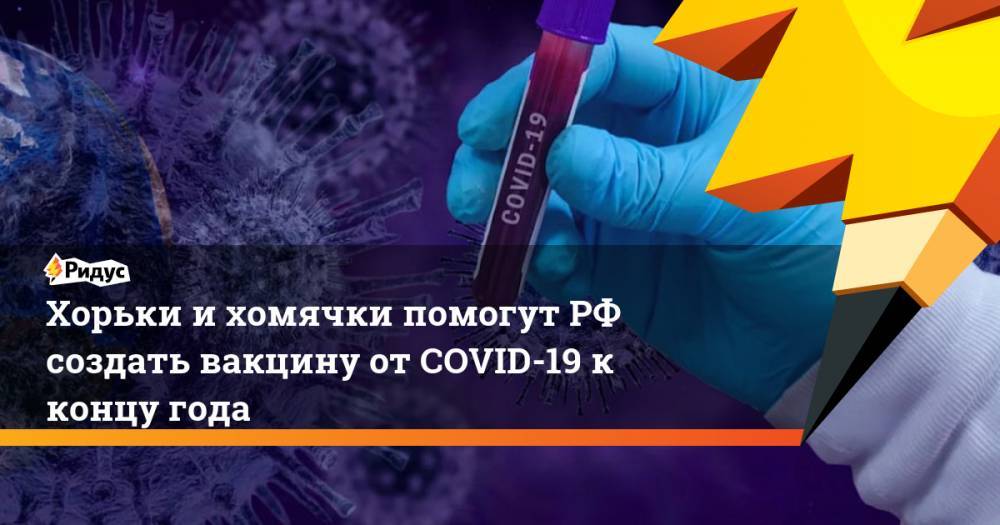 Хорьки и хомячки помогут РФ создать вакцину от COVID-19 к концу года