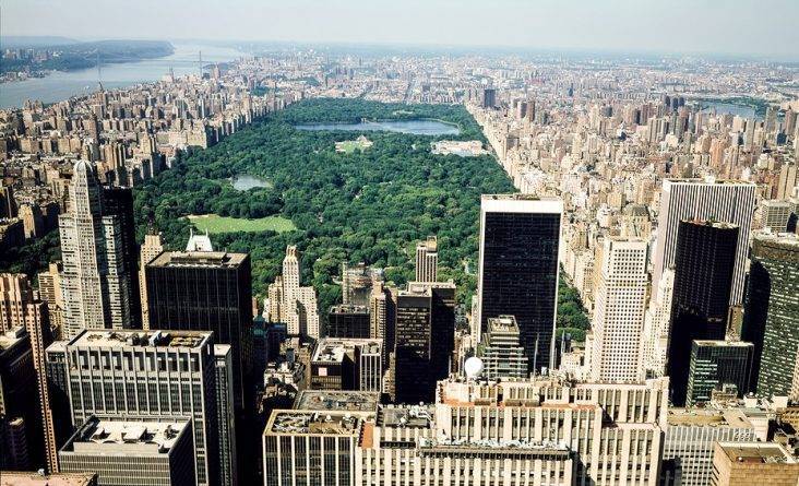 Ученые обнаружили, что воздух в Нью-Йорке стал чище после объявления карантина - usa.one - Колумбия - Нью-Йорк - Нью-Йорк