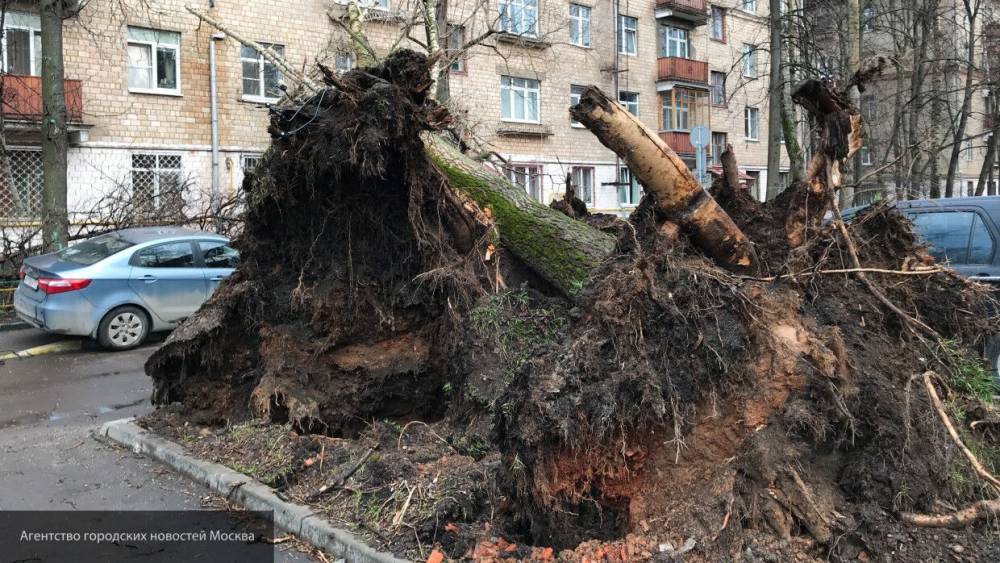 Жуткие кадры последствий урагана в Омске появились в Сети