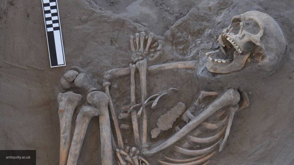 Человеческие кости найдены на даче в Саратовской области