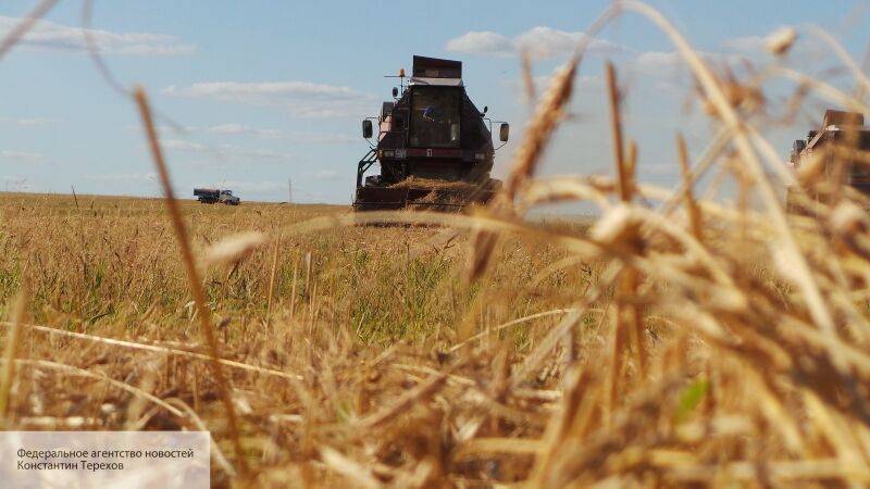 Аналитики Sohu выяснили, сможет ли Китай прокормить себя без российской пшеницы