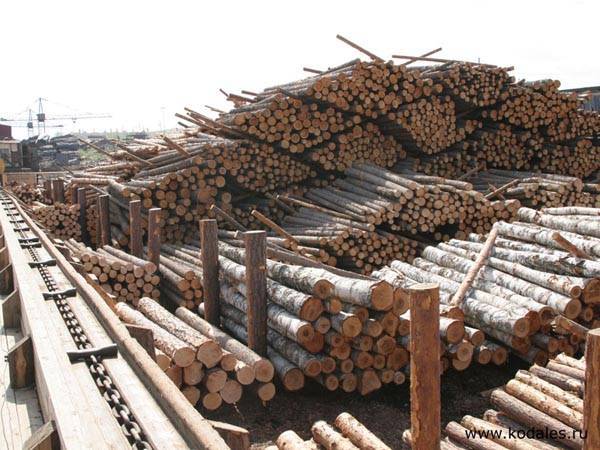 Вологодские предприятия лесопромышленного комплекса снова работают