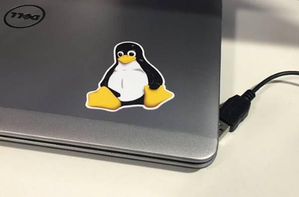 Россияне выпустили «легкий» Linux с поддержкой «Эльбрусов» и «Байкалов»