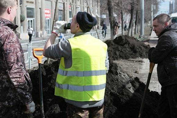 Жители Челябинска пожаловались на варварскую обрезку деревьев в сквере на ЧМЗ