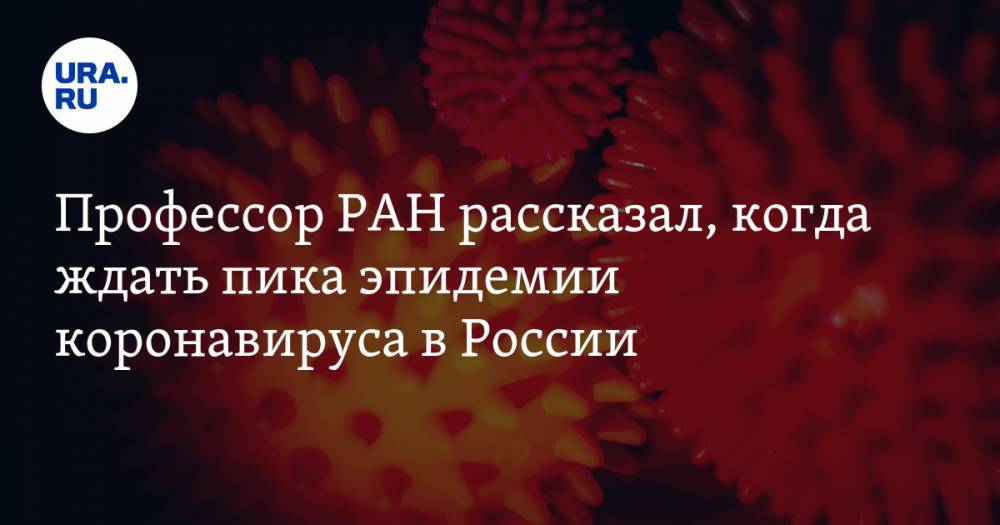 Профессор РАН рассказал, когда ждать пика эпидемии коронавируса в России