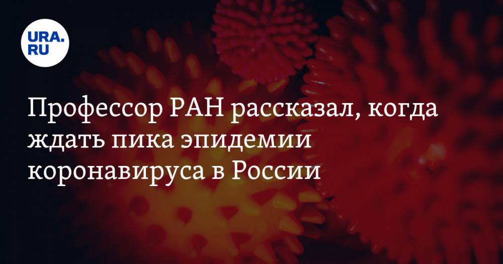 Симон Мацкеплишвили - Профессор РАН рассказал, когда ждать пика эпидемии коронавируса в России - ura.news - Россия