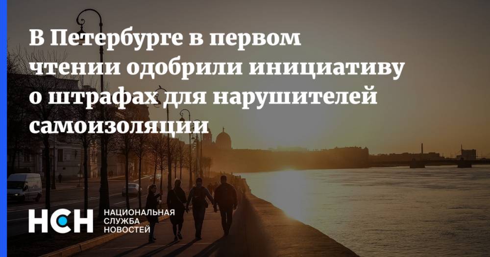 В Петербурге в первом чтении одобрили инициативу о штрафах для нарушителей самоизоляции