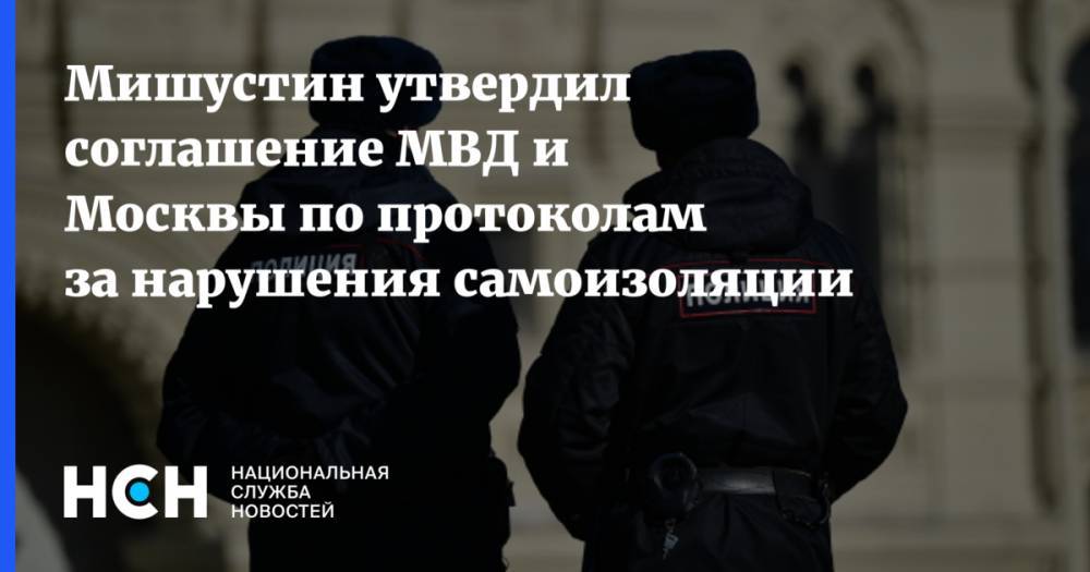 Мишустин утвердил соглашение МВД и Москвы по протоколам за нарушения самоизоляции