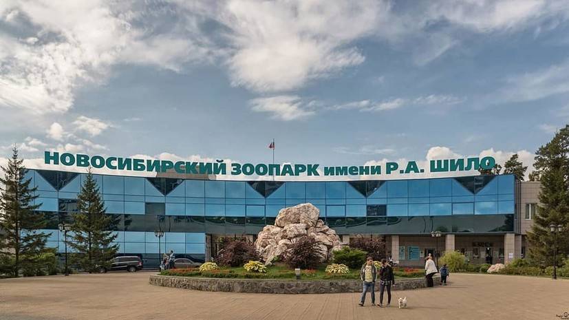 Зоопарк Новосибирска получит 27,5 млн рублей на поддержание работы