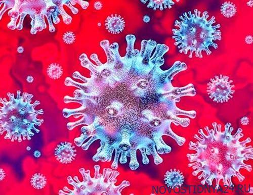 ВЦИОМ: 63% россиян считают достаточными меры против коронавируса, 26% — что их мало