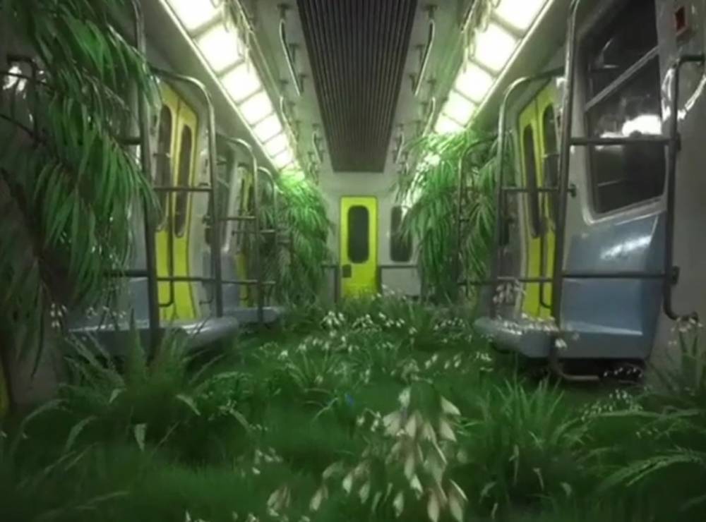 «Сказочный» вид в пустых вагонах Московского метро показали на видео