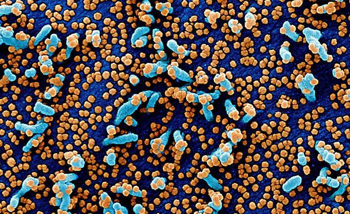 Forskning (Норвегия): сколько коронавирус выживает в воздухе, на пластике, металле и картоне