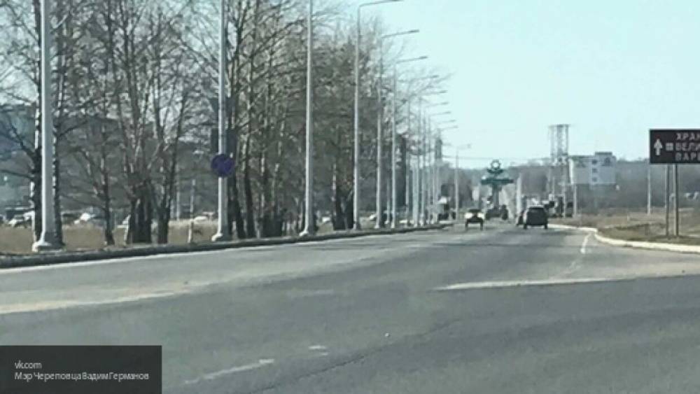 Два человека погибли в массовой аварии на трассе в Самарской области