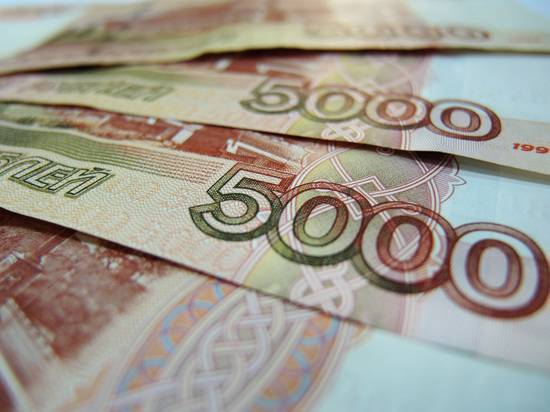 РБК назвал размер денежной «подушки», накопленной Россией перед кризисом