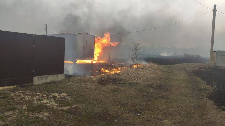 Огненный вал добрался до жилых домов под Воронежем