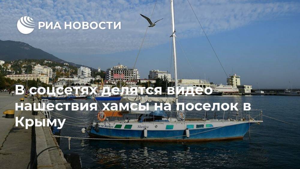 В соцсетях делятся видео нашествия хамсы на поселок в Крыму