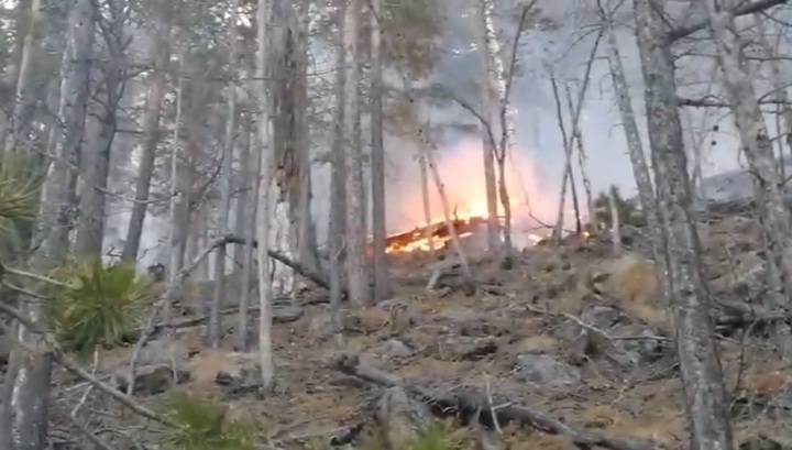 "Поиграли, называется": дети устроили лесной пожар в Бурятии. Видео