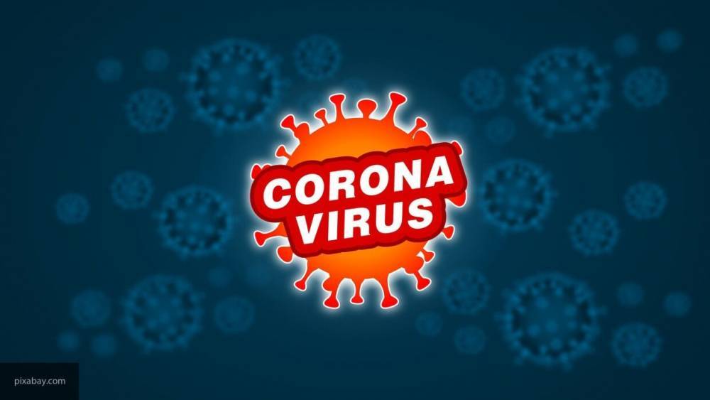 Западная пресса пытается дискредитировать российскую помощь по борьбе с коронавирусом