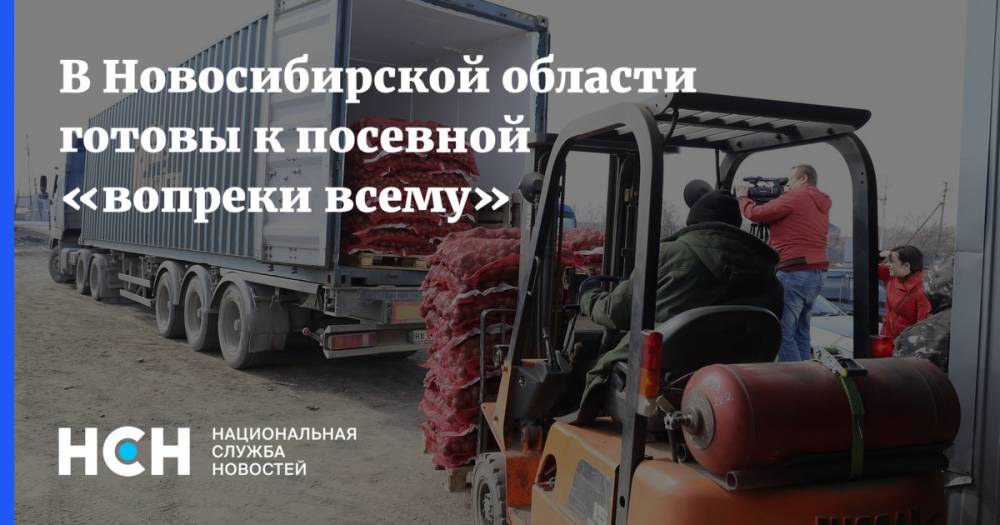 В Новосибирской области готовы к посевной «вопреки всему»