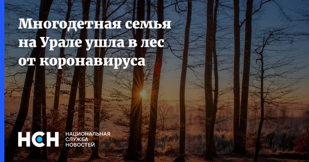 Многодетная семья на Урале ушла в лес от коронавируса