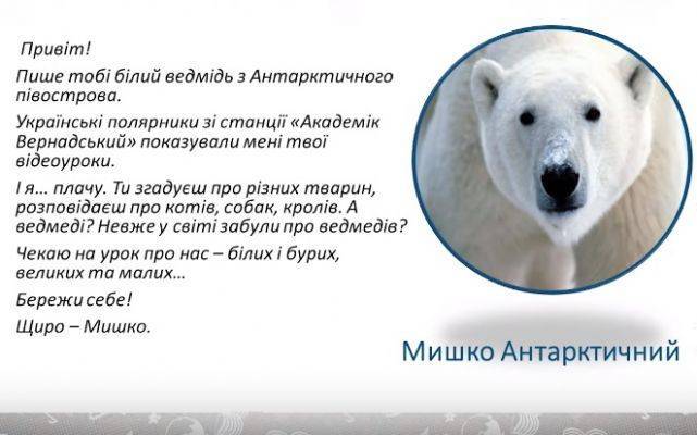Украинские школьники на онлайн-уроке узнали про белых медведей в Антарктиде