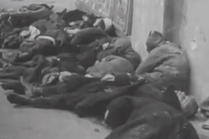 Возбуждено уголовное дело о геноциде в Ростовской области во время войны